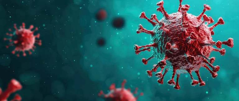 Yeni Corona Vakası mı? Gemide Hantavirüs Alarmı