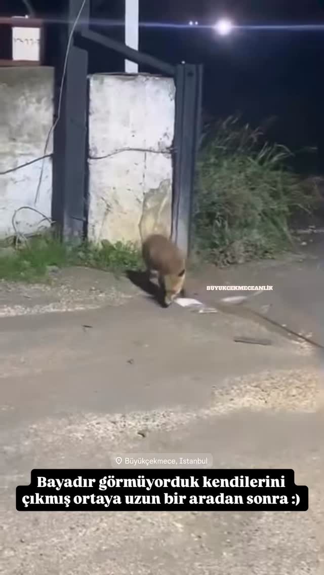 Büyükçekmece Anlık Instagram story 6